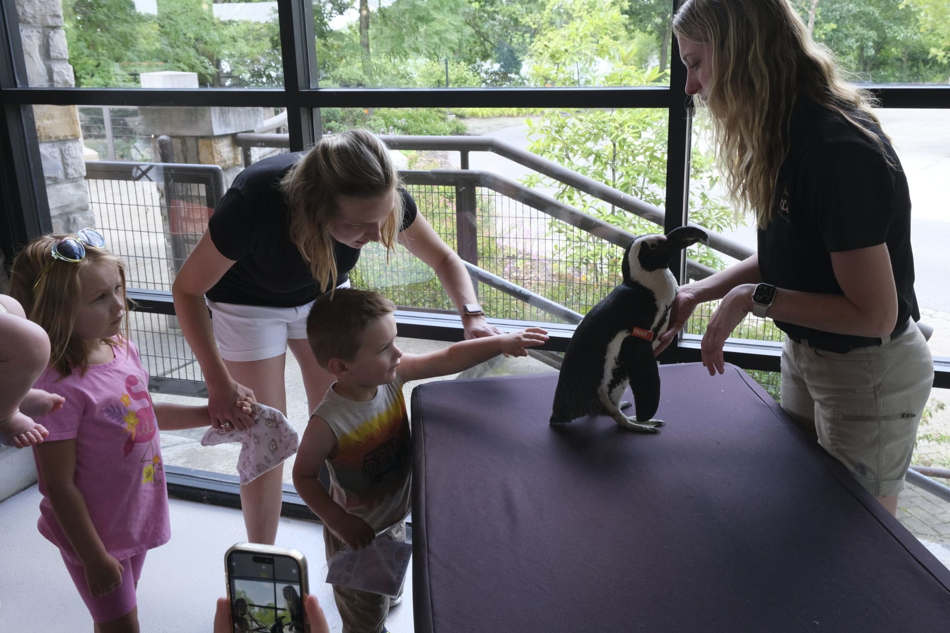 Register for New Dentist Zoo Day